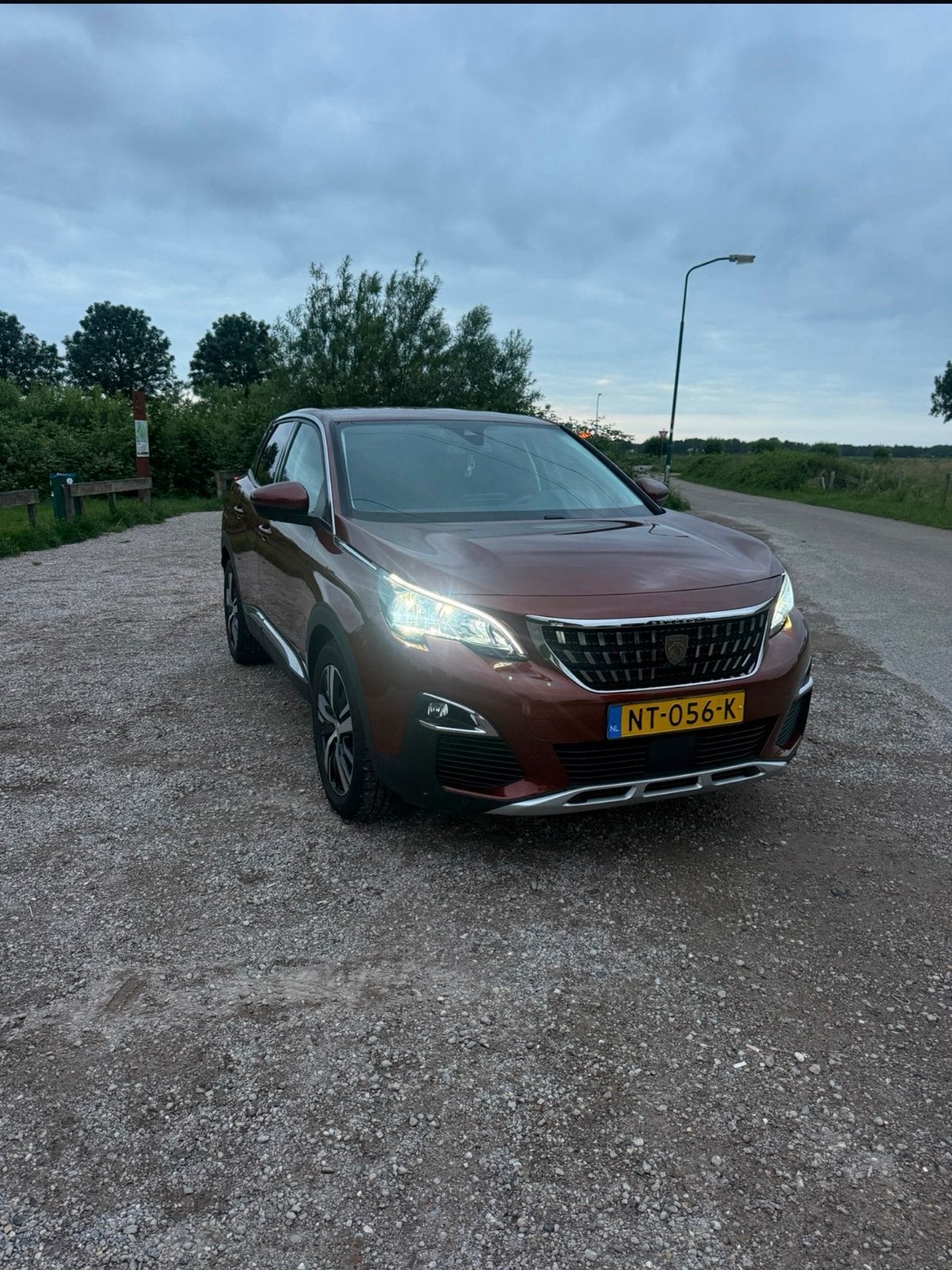 Peugeot 3008 1.2 Puretech 96KW/130PK Eat6 2017 Bruin, Auto's, 1199 cc, Bruin, 1200 kg, 19 km/l