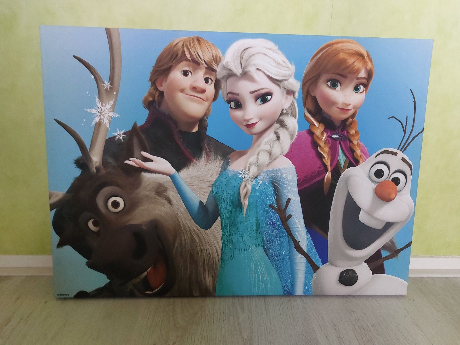 Schilderij Frozen, Ophalen of Verzenden, 10 tot 50 stukjes