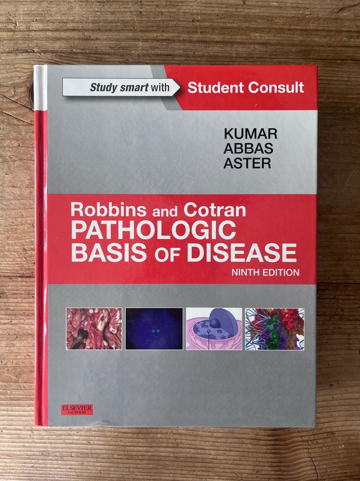 Pathologic Basis of Disease - Studieboek Geneeskunde, Ophalen of Verzenden, Beta, Zo goed als nieuw, WO
