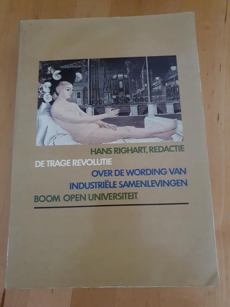 De Trage Revolutie - Hans Righart, Ophalen of Verzenden, 20e eeuw of later, Gelezen, Hans Righart