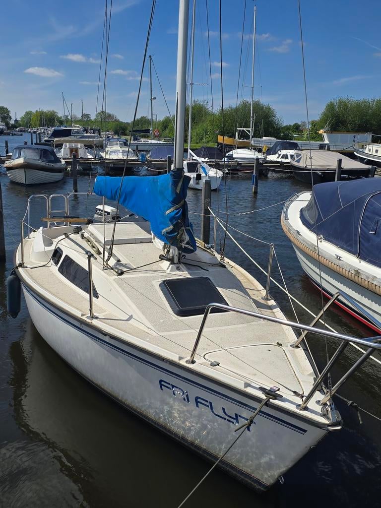 Precision P21 zeilboot, Ophalen of Verzenden, Gebruikt, Polyester, Benzine