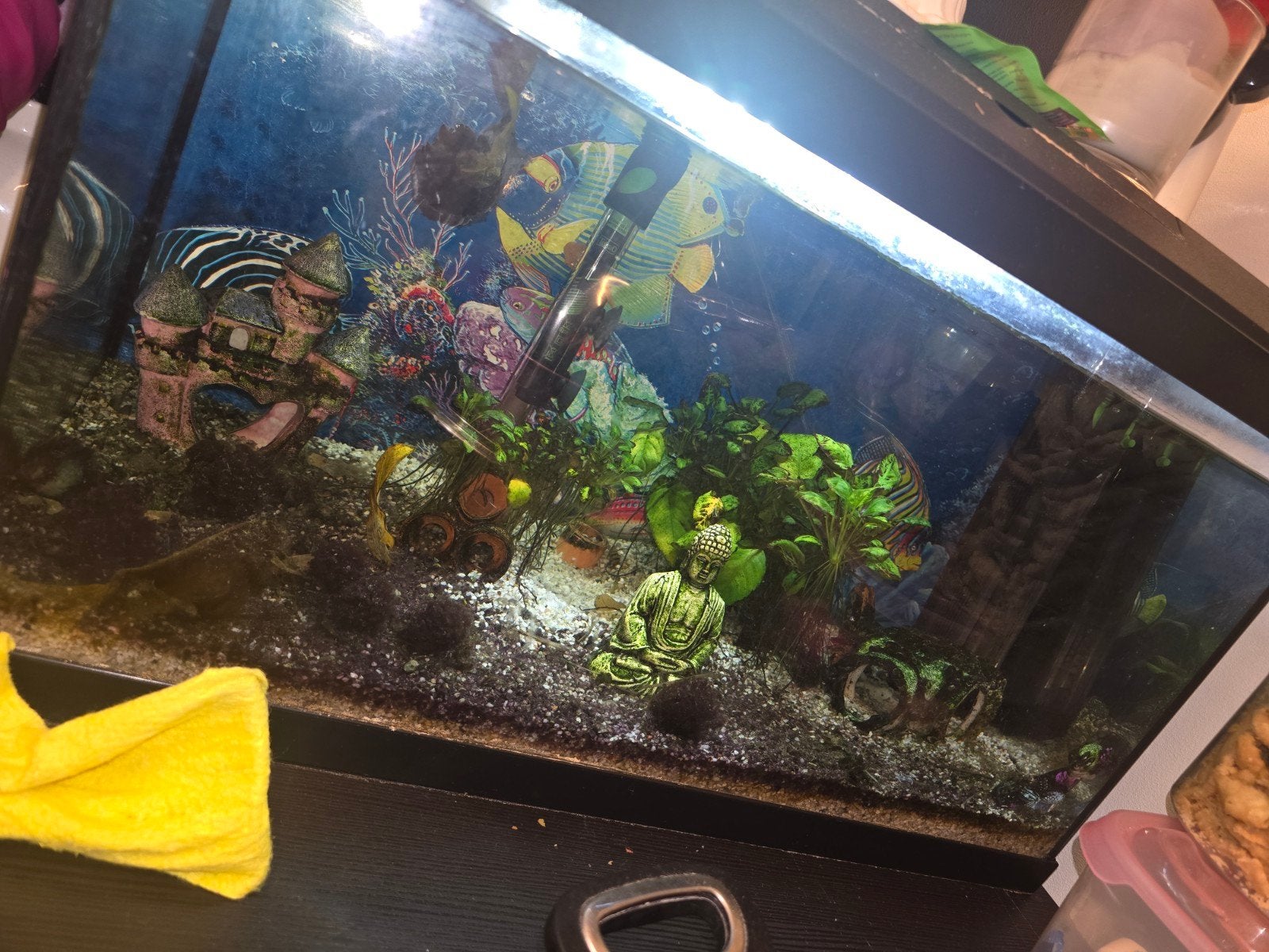 Aquarium 60 liter, Ophalen, Leeg aquarium