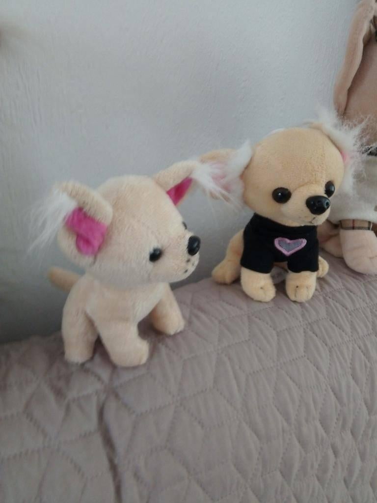 Chihuahua knuffels/ Lopende Chihuahua, Ophalen of Verzenden, Zo goed als nieuw, Hond