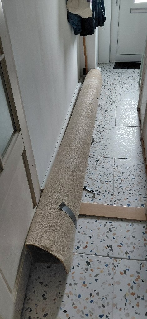 Tapijt, Ophalen, Semi hoogpollig, Nieuw, Bruin