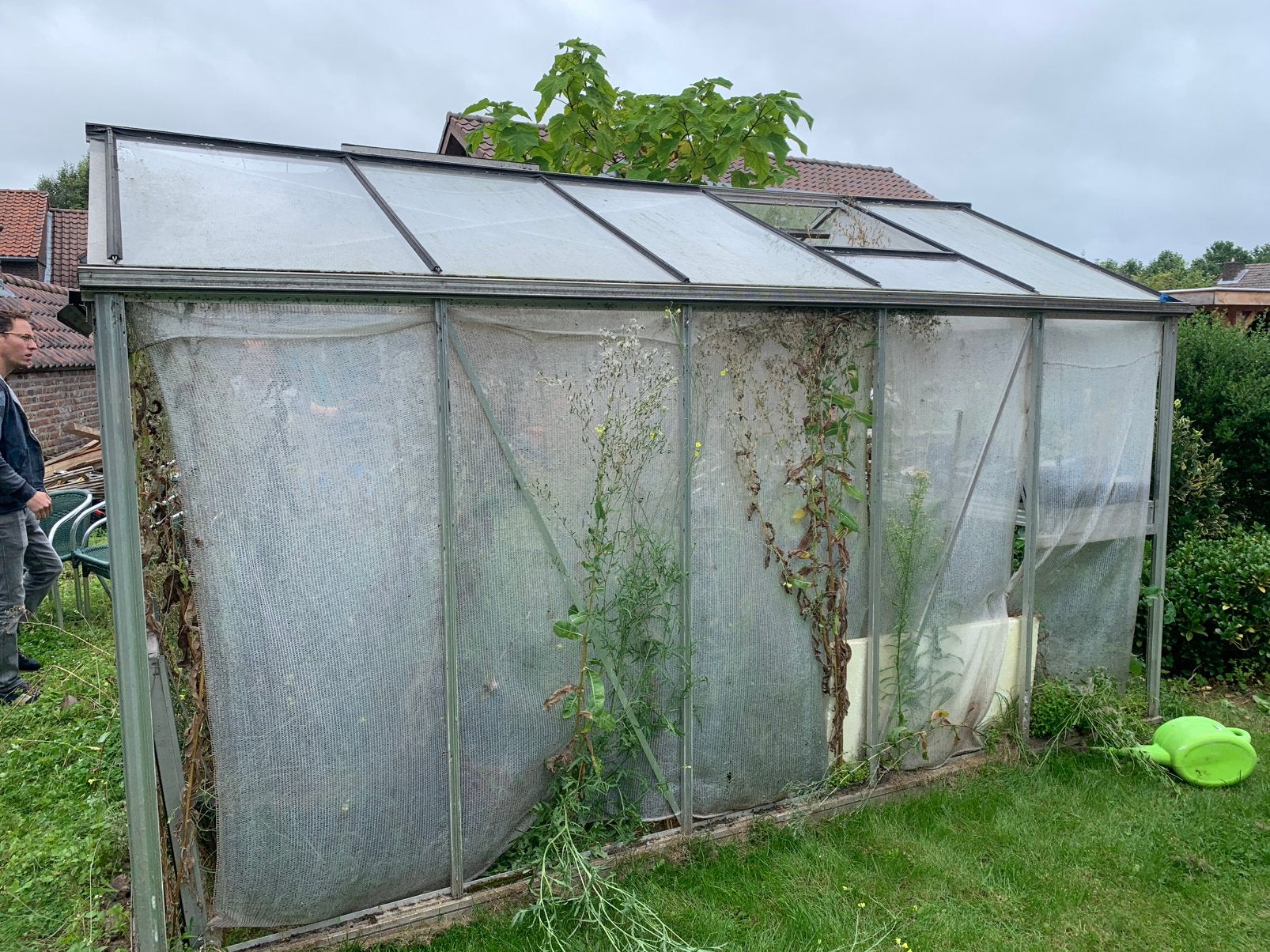 Glazen kas / tuinhuisje, Tuin en Terras, Ophalen, Gebruikt, Kweekkas, Glas