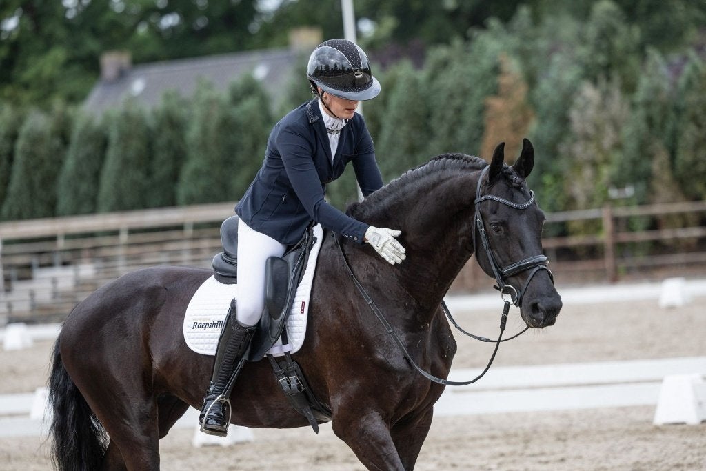 Friese Merries, Dieren en Toebehoren, Paarden, Merrie, Met stamboom, Niet van toepassing, Dressuurpaard