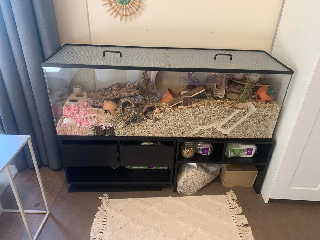 Mooie hamsterkooi + volledig interieur en syrische hamster, Dieren en Toebehoren, Knaagdieren en Konijnen | Hokken en Kooien, Kooi