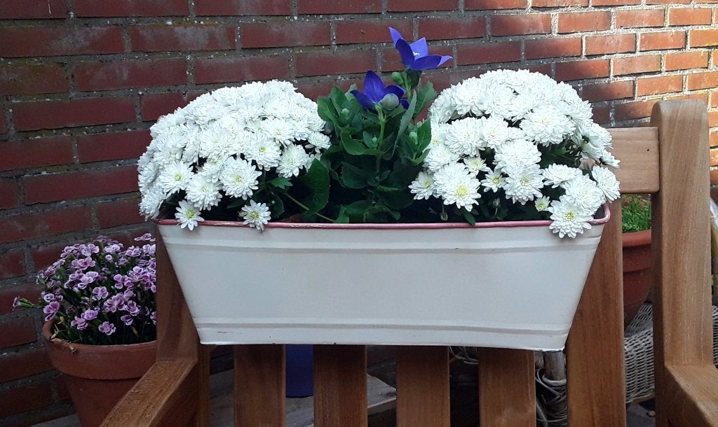 Metalen balkonbak - bloembak - roomwit met oudroze / zalmkle, Tuin en Terras, Bloembakken en Plantenbakken, Gebruikt, Minder dan 30 cm