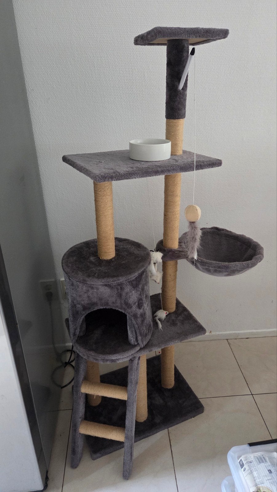 Cats accessories. everything you need for new cat
