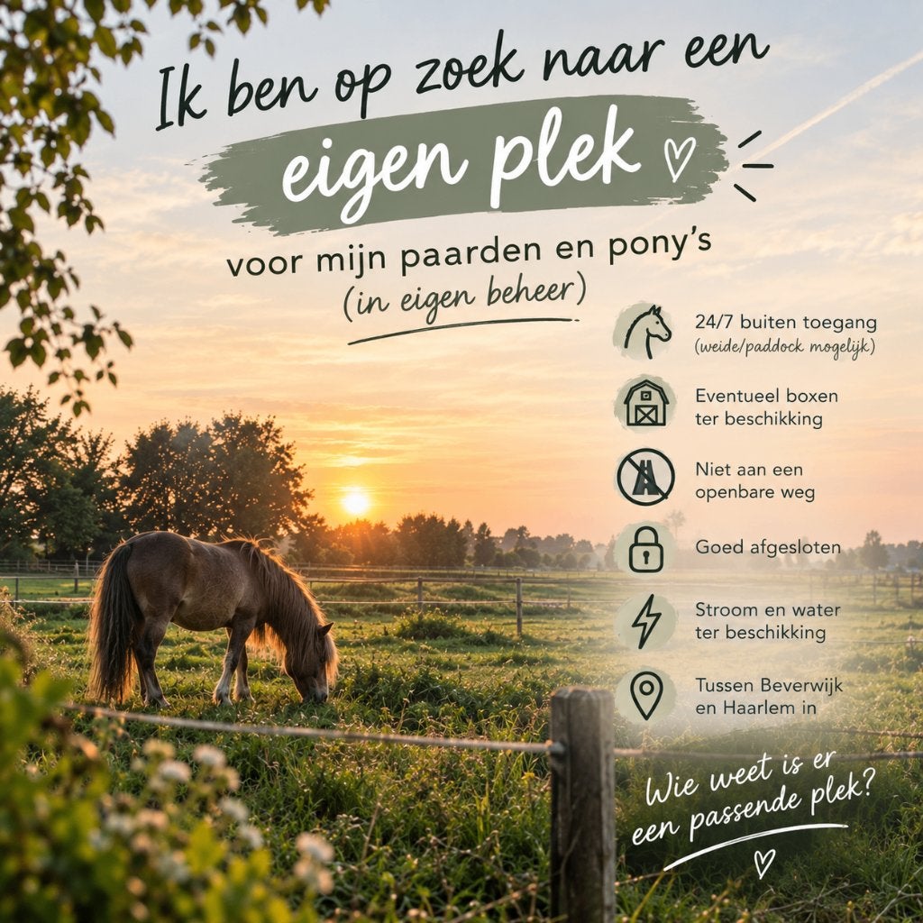 Plek in eigen beheer paarden, Dieren en Toebehoren, Stalling, 4 paarden of pony's of meer