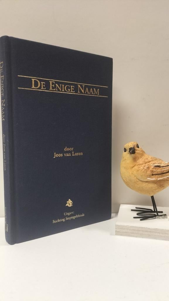 Laren, Joos van; De Enige Naam, Ophalen of Verzenden, Gelezen, Christendom | Protestants