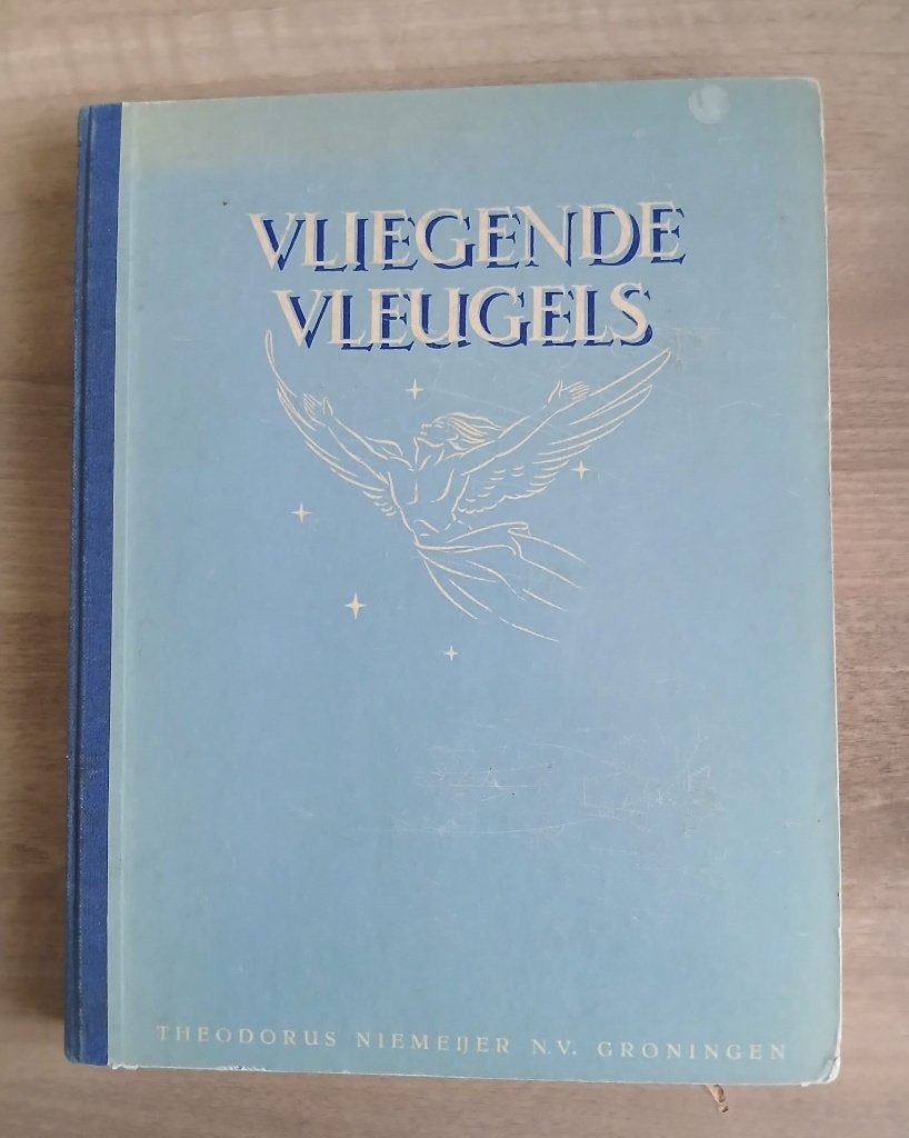 Vliegende Vleugels. 1947. C. v. Steenderen. Luchtvaart., Boeken, Gelezen, C. v. Steenderen, Overige gebieden, Ophalen of Verzenden