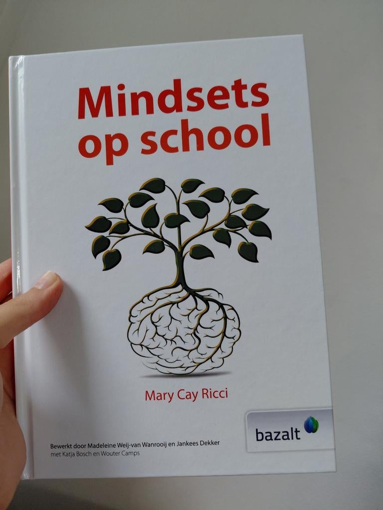 Mindsets op school - Mary Cay Ricci, Overige vakken, Ophalen of Verzenden, Zo goed als nieuw, Mary Cay Ricci