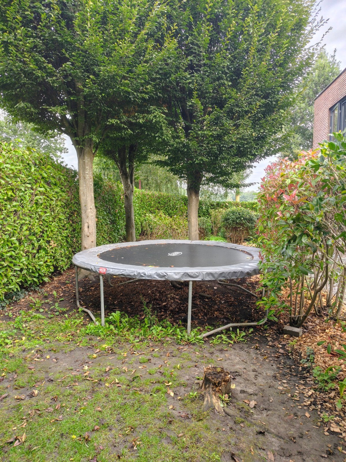 grote BERG trampoline - in prima staat., Ophalen, Gebruikt