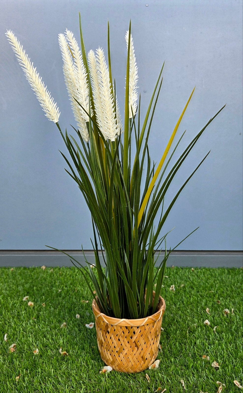 Kunst siergras met witte pluimen – incl. rieten mand, Onderhoudsvrij, Kunstplant, Nieuw, Ophalen of Verzenden
