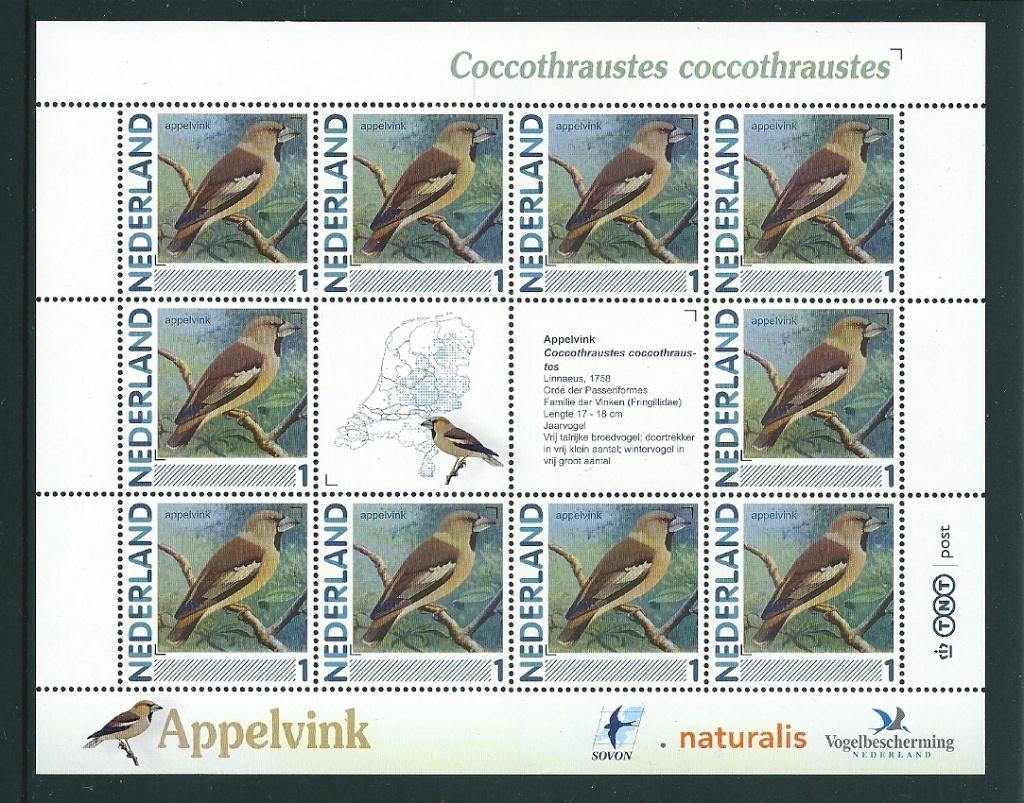 Vel persoonlijke zegels, Vogels Appelvink, postfris, Ophalen of Verzenden, Postfris
