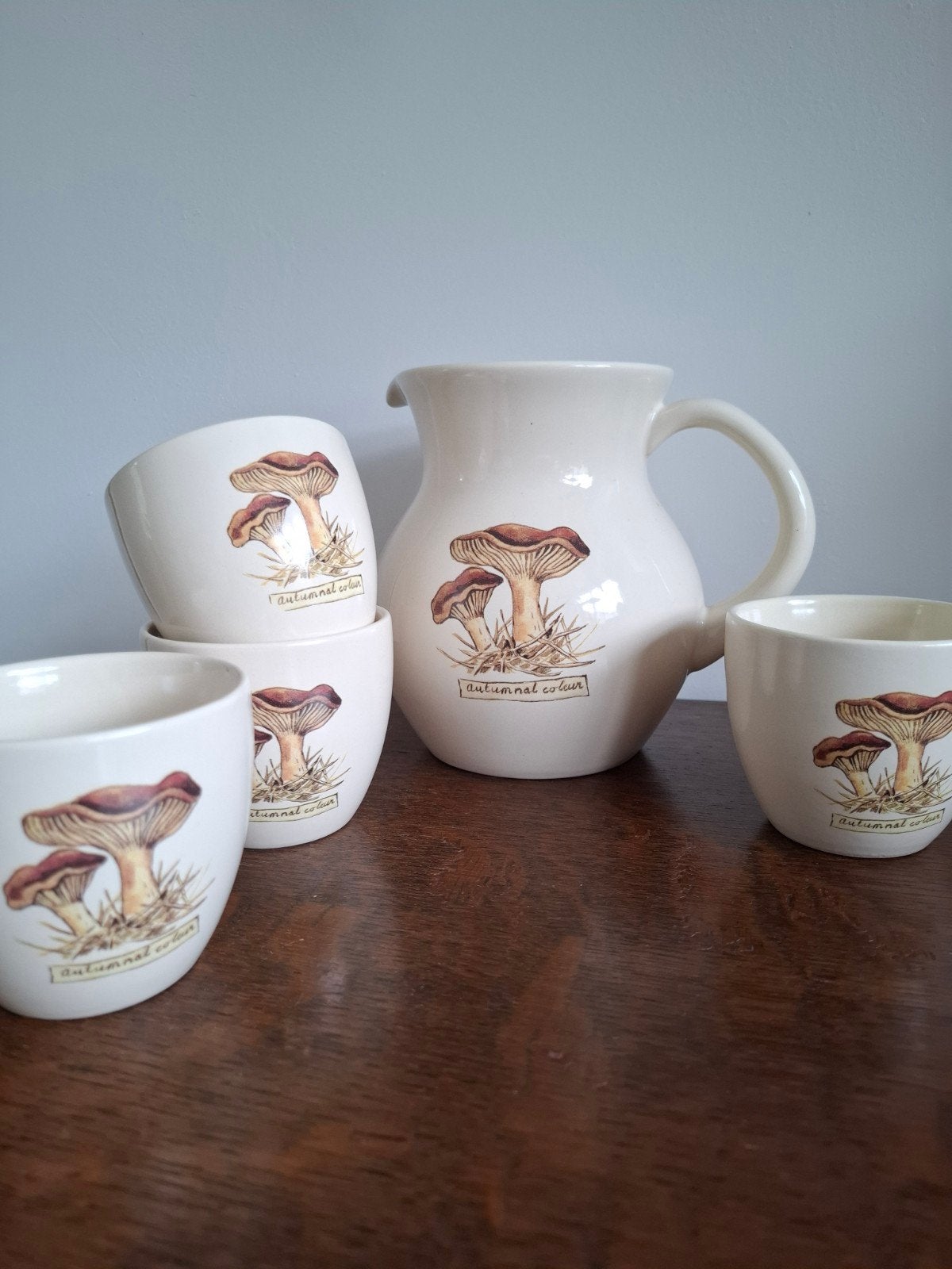Jet by ter Steege autumnal colour servies set, Huis en Inrichting, Ophalen of Verzenden, Zo goed als nieuw, Keramiek, Jet by Ter Steege
