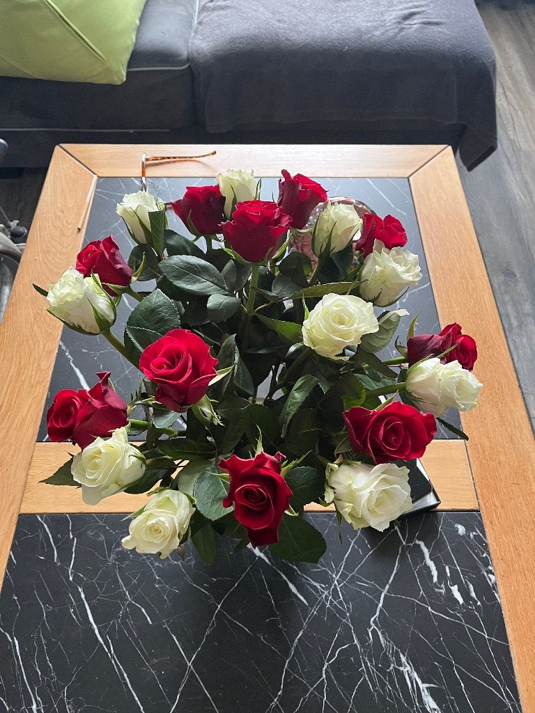 Verse Topkwaliteit Rozen vers van Veiling – Rood, Wit & Mix!, Overige soorten, Minder dan 100 cm, Bloeiende kamerplant, Halfschaduw