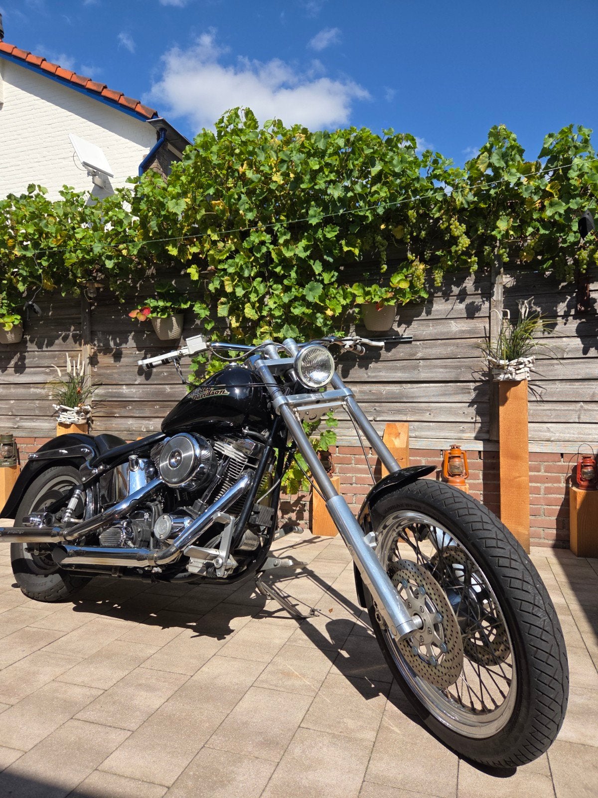 Harley-Davidson Softail fxstc Custom Chopper, Motoren, 2 cilinders, Chopper, Gebruikt, Particulier