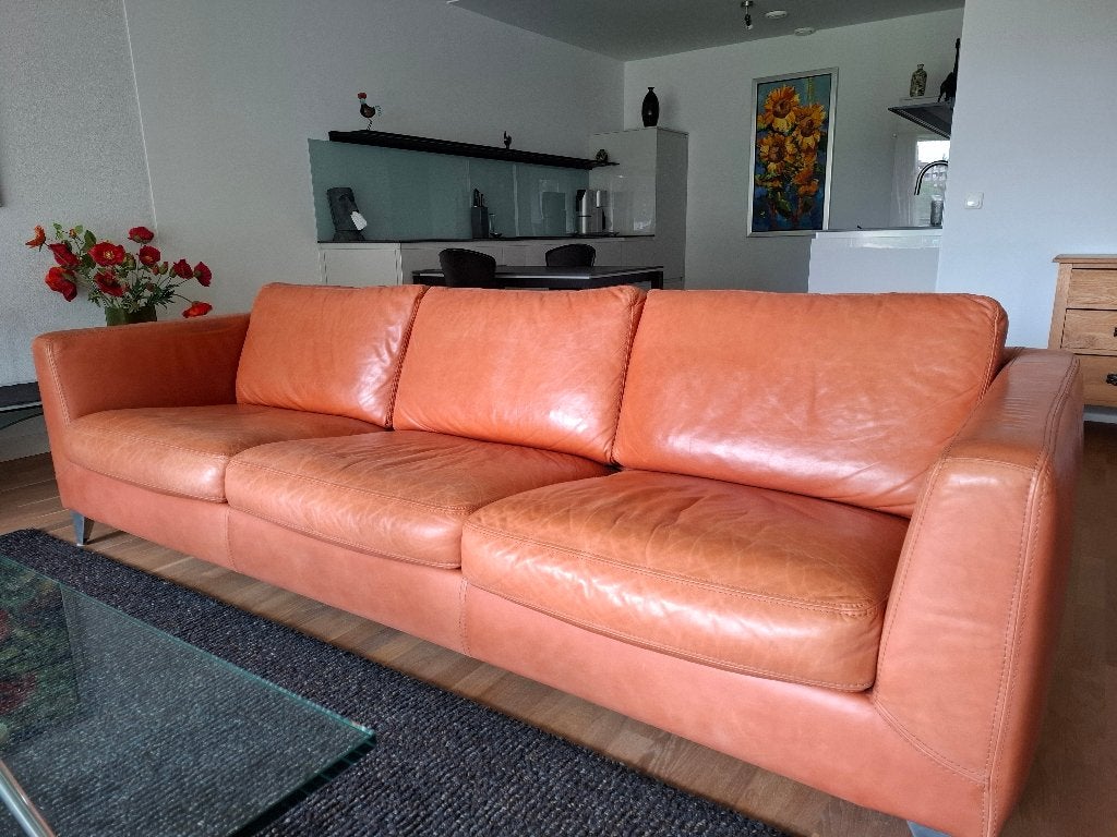 Machalke topdesign vierzits lederen bank Pablo, Ophalen, 250 tot 300 cm, Gebruikt, 75 tot 100 cm