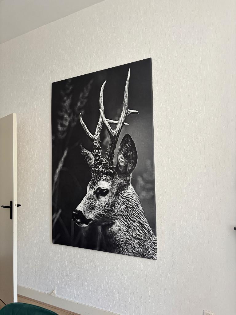 Groot canvas, Ophalen, Zo goed als nieuw, Schilderij, 100 tot 125 cm