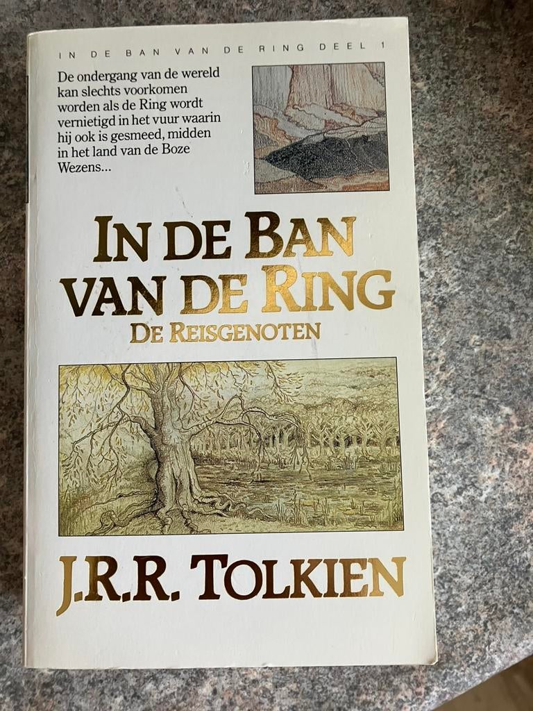 In de Ban v d Ring, Ophalen of Verzenden, Zo goed als nieuw