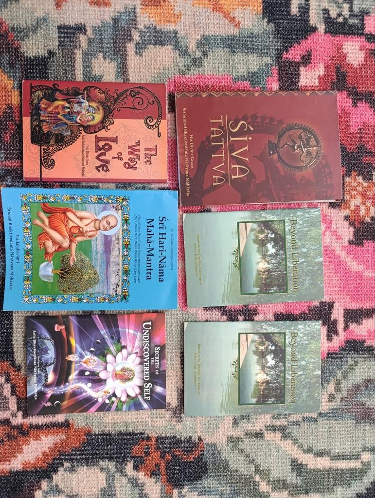 Set van 6 spirituele boeken over Hindoeïsme en Yoga, Boeken, Ophalen of Verzenden, Meditatie of Yoga, Instructieboek