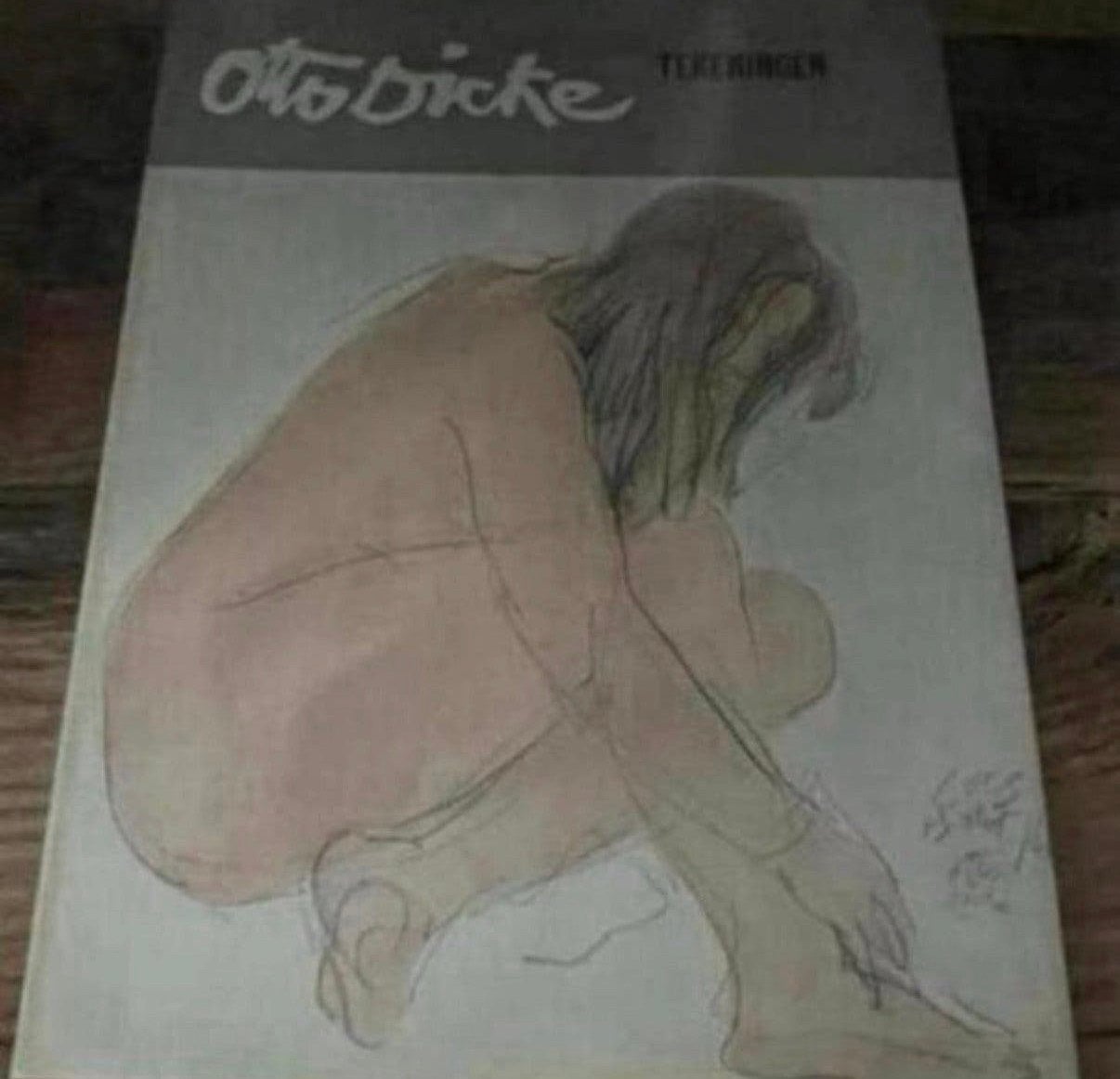 Otto Dicke Boek Gesigneerd, Boeken, Ophalen of Verzenden, Zo goed als nieuw