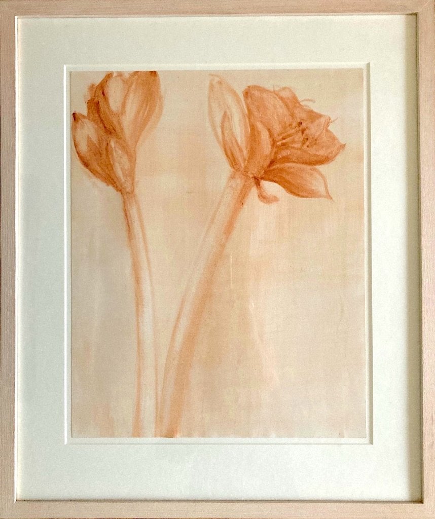 Amaryllis - gouache met lijst, Antiek en Kunst, Kunst | Schilderijen | Klassiek, Gouache, Origineel werk, Papier, Ophalen