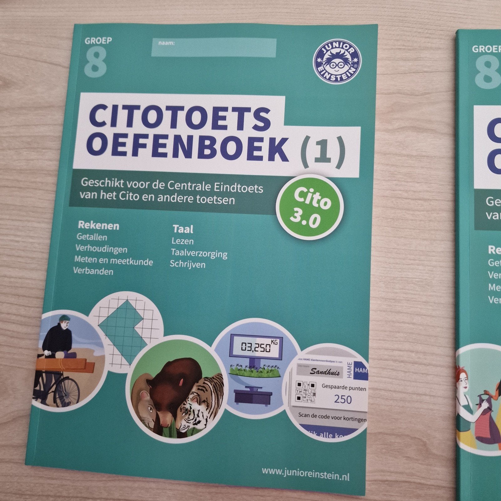 Cito Toetsoefenboeken Groep 8 (Deel 1, 2, 3) - Nieuw, Ophalen of Verzenden, Nieuw, LBO
