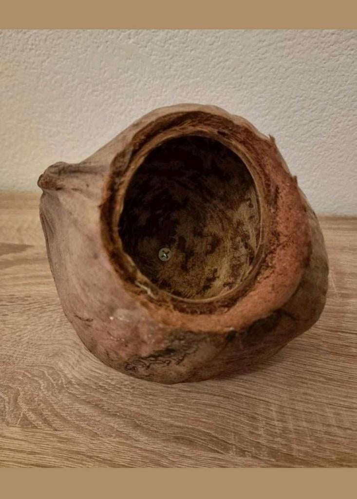 Kokosnoot voor vogel, Ophalen of Verzenden, Rechthoekig