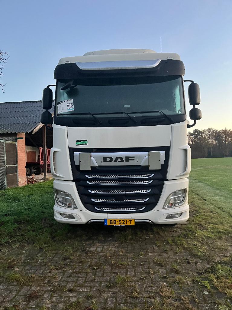 vrachtwagen DAF, Automaat, Euro 6, Wit, Bruin