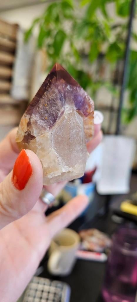 Dreamcoat lemurian, Ophalen of Verzenden