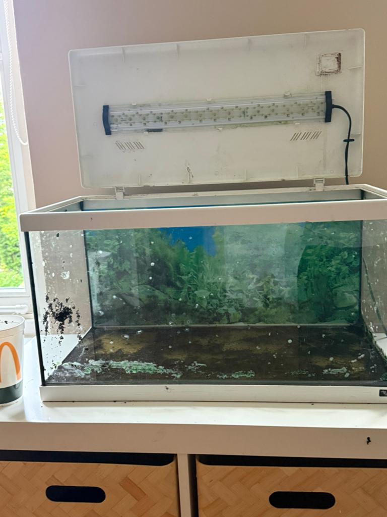 Aquarium inclusief pomp en zuurstof toevoeger en wat extra’s, Dieren en Toebehoren, Vissen | Aquaria en Toebehoren, Ophalen, Gebruikt