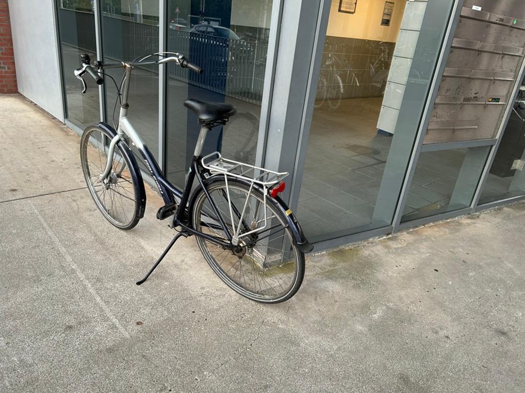 Damesfiets, Fietsen en Brommers, Fietsaccessoires | Fietsenrekken, Ophalen, Zo goed als nieuw