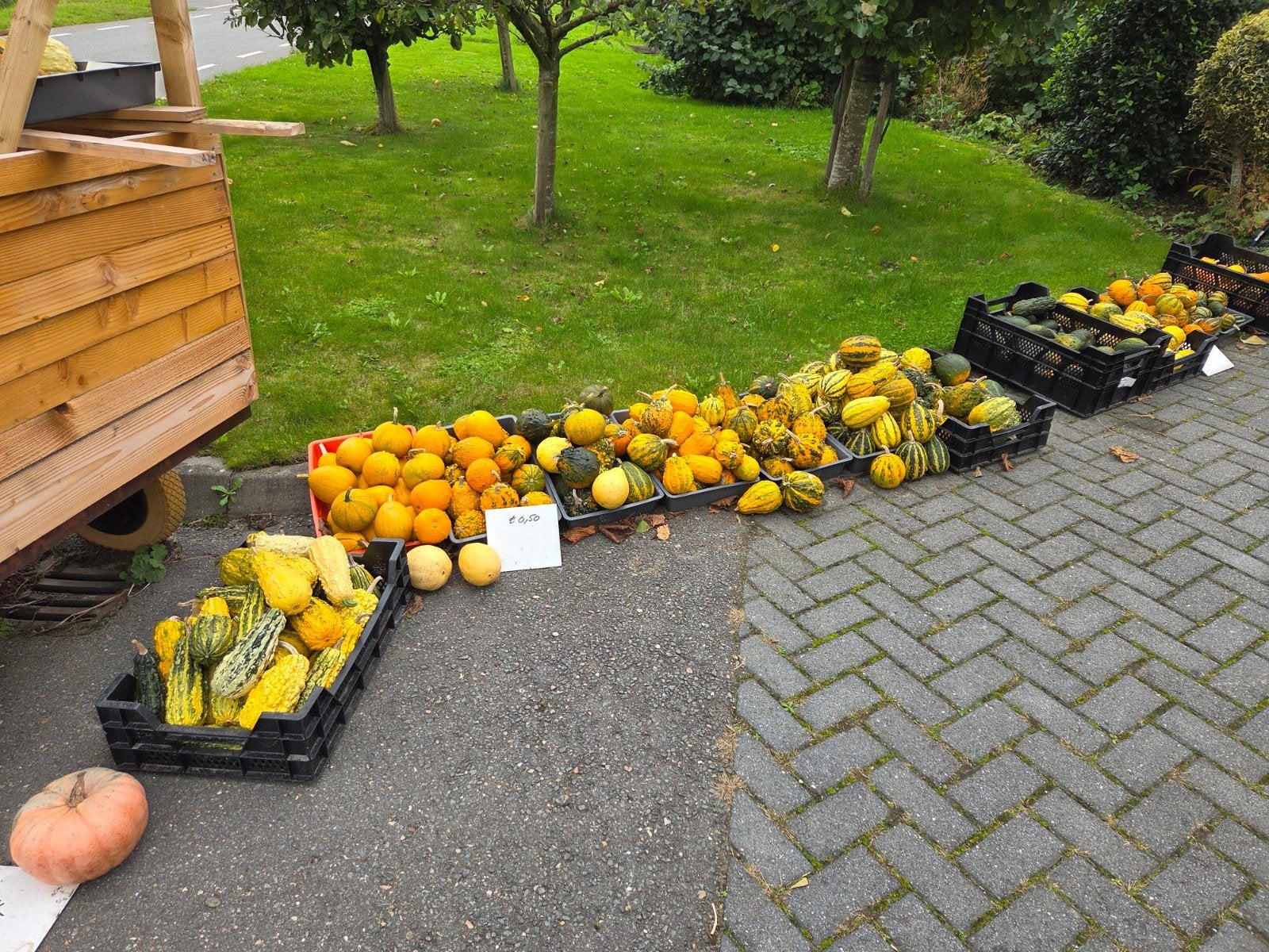 pompoenen kalebassen, Ophalen, Nieuw