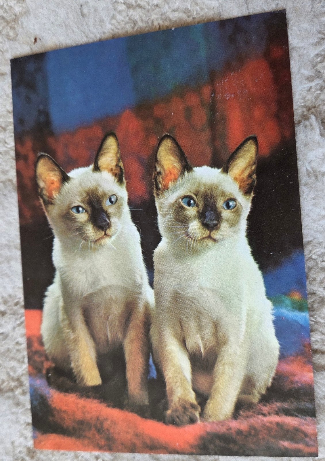 Vintage Ansichtkaart Siamese Katten, Verzenden, 1980 tot heden, Gelopen, Hond of Kat