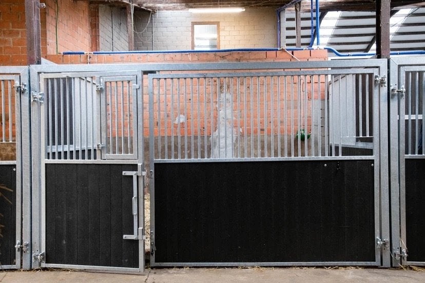 Paardenboxen, paardenstallen, stallen, voorwanden, zijwanden, Stalling, 4 paarden of pony's of meer