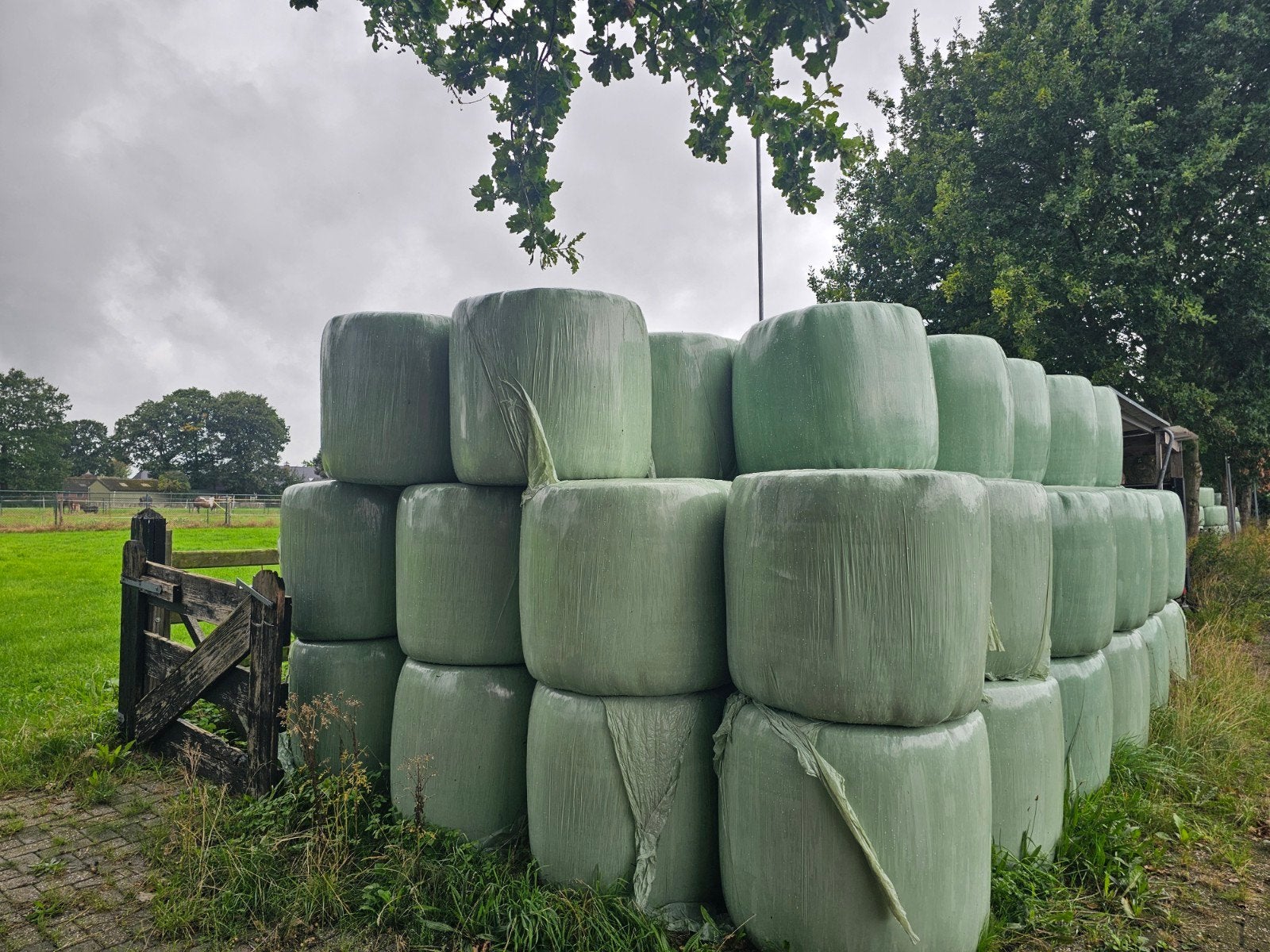 Hooi midi baal, Ophalen of Verzenden, Vee