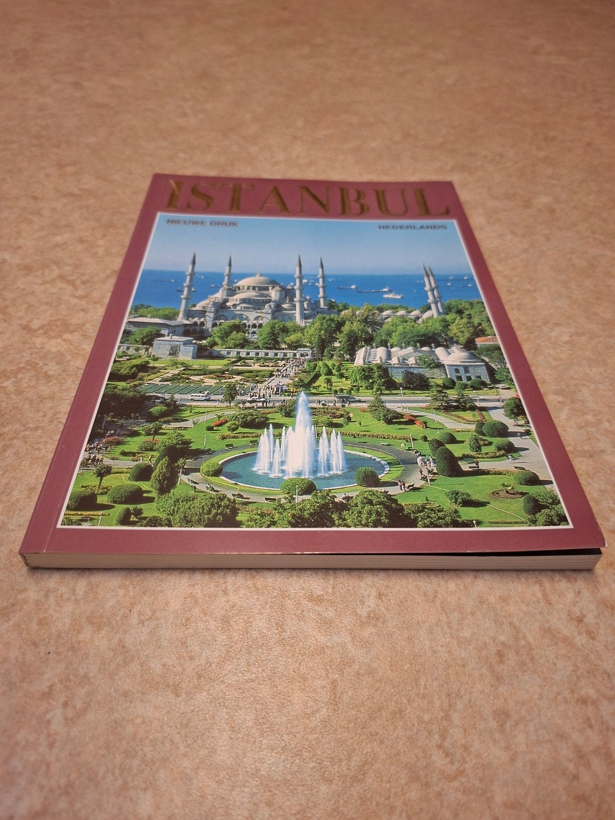 Reisgids Istanbul - Nieuwe Druk Nederlands, Europa, Ophalen of Verzenden, Zo goed als nieuw, Reisgids of -boek