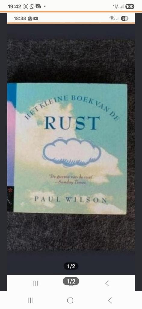 Het Kleine Boek van de Rust - Paul Wilson, Boeken, Ophalen of Verzenden, Zo goed als nieuw, Paul Wilson, Europa overig