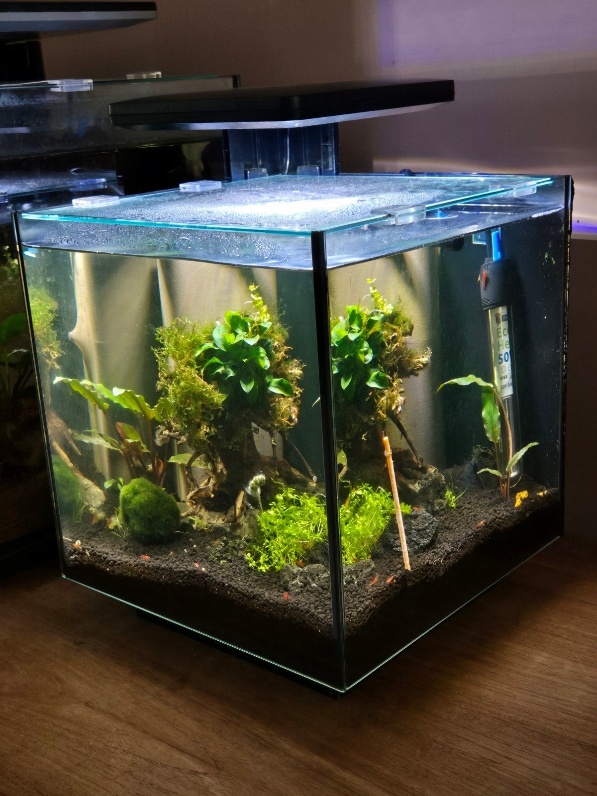 Superfish garnalen, Ophalen, Pomp, Gevuld zoetwateraquarium, Superfish