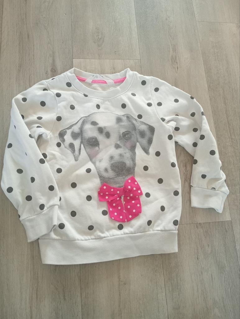 Leuke Sweater zgan met hondje erop maat 110/116 merk H&M, Ophalen of Verzenden, Zo goed als nieuw, Jongen, Trui of Vest