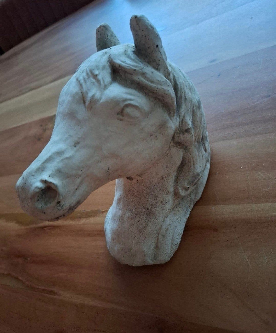 stenen paardenkop, Ophalen of Verzenden