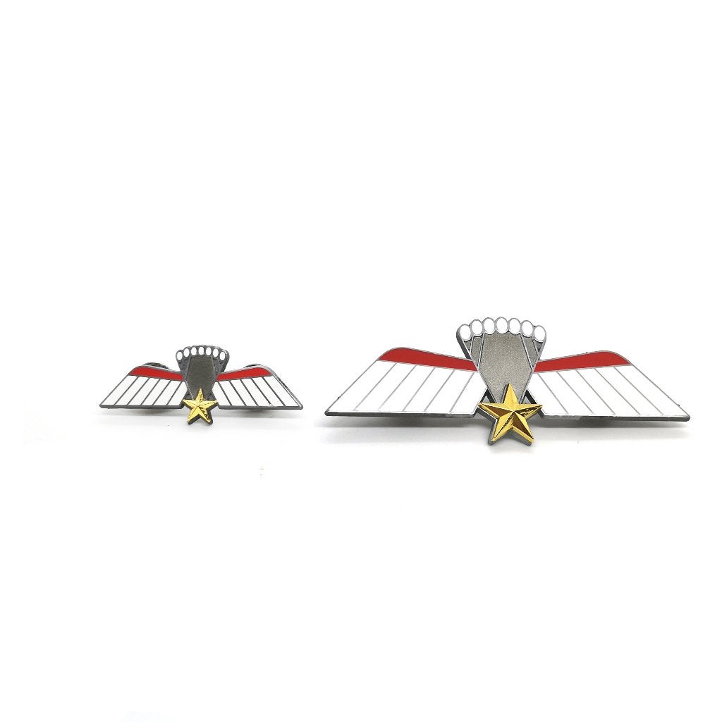 Miniatuur metalen parawing C (KCT/MARSOF) gala, Ophalen of Verzenden, Landmacht, Nederland, Lintje, Medaille of Wings