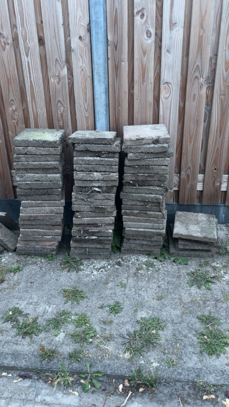 Gratis af te halen: Gebruikte stoeptegels, Ophalen, Gebruikt, 10 m² of meer, Beton