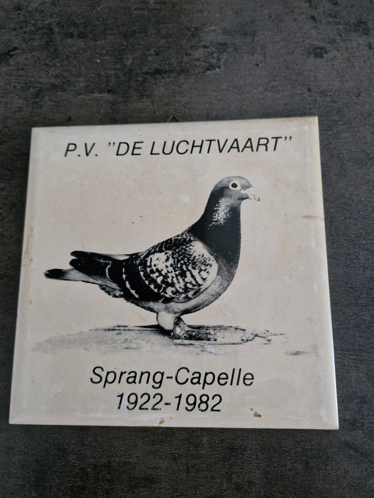 Tegel P.V. "De Luchtvaart" Sprang-Capelle 1922-1982, Ophalen of Verzenden