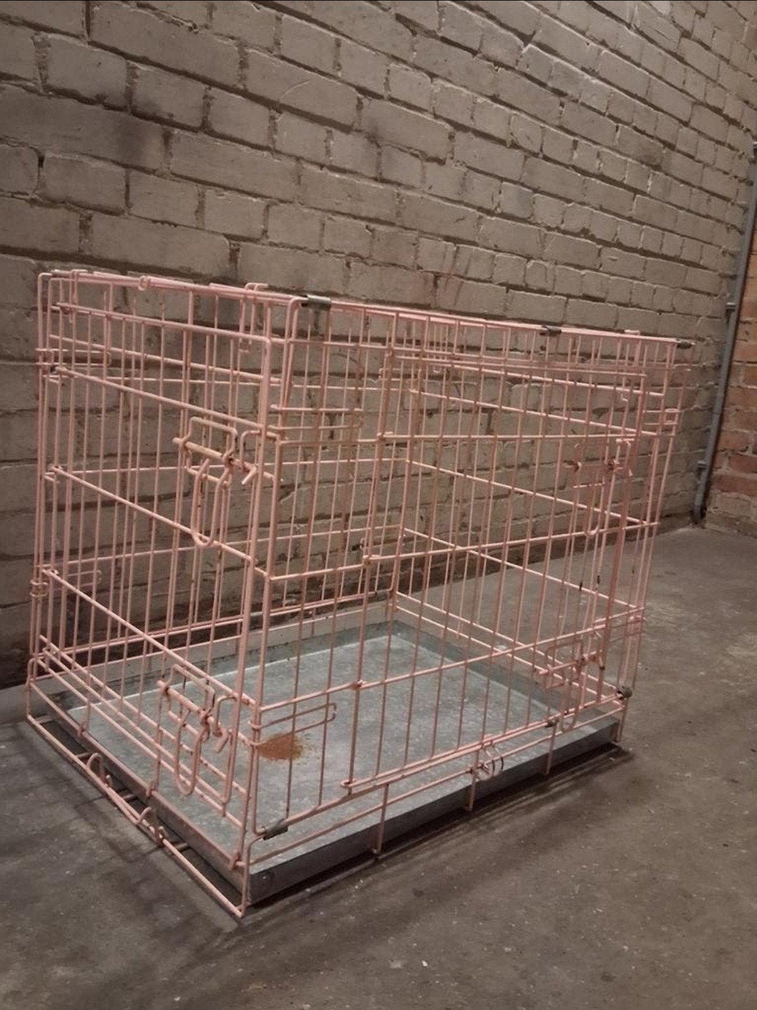 Te koop, Hond bench., Ophalen
