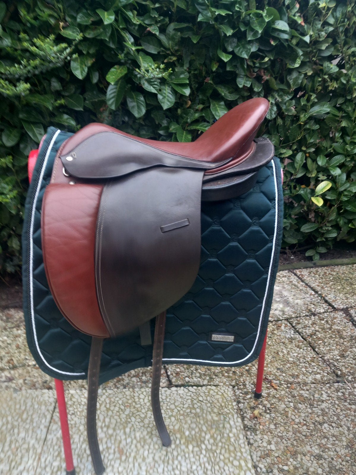 Dressuurzadel 16,5/17 inch en springzadel Massimo 17/W, Dieren en Toebehoren, Ophalen of Verzenden, Dressuur