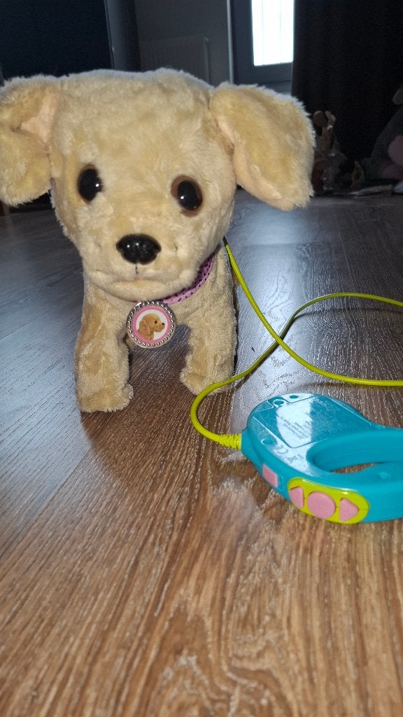Baby born hondje, Ophalen, Zo goed als nieuw, Babypop